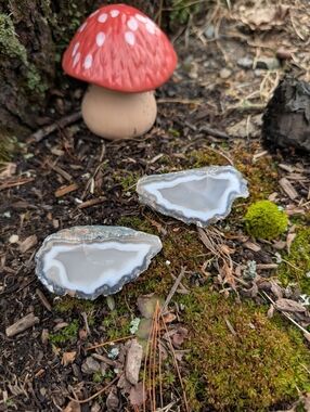 Bird Wing Morraccan agate Full Egg Rock